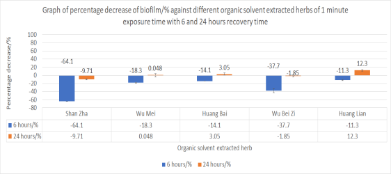 Figure 10 | Percentage decrease of biofilm with 6 and 24 hours recovery after 1 minute exposure to organic solvent extracted herbs.